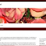 Screen shot of iRoberta.com a personal blog/website.